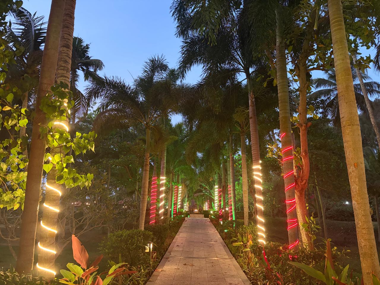Forest Path